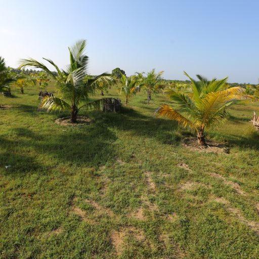 فندق Kayjay Palms Passikudah المظهر الخارجي الصورة